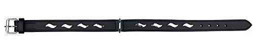 Trixie Aktiv Hundehalsband mit stilvollen Designs