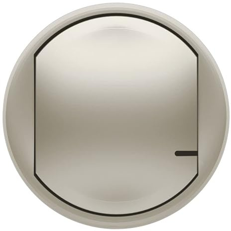 Legrand 064825 Céliane Remplacement de Enjoliveur avec Netatmo pour Interrupteur Filaire Connecté ou Commande sans Fil, Titane