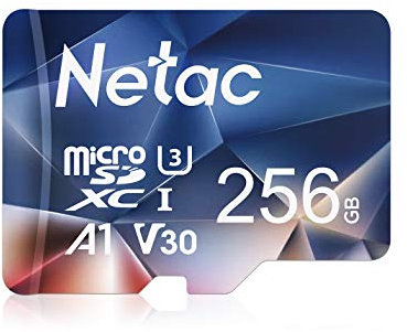 Netac 256 Go SDXC Carte Mémoire Micro SD pour Switch, Appareil Photo, Smartphone, PS Vita, PS4 Pro, Go Pro (UHS-1 A1 V30 U3 C10 4K UHD)