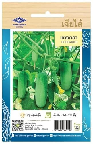 Graines de Concombre Thaïlandais – Petit Concombre Croquant – 55 graines – CHIA TAI (Home Garden) – Import Thaïlande