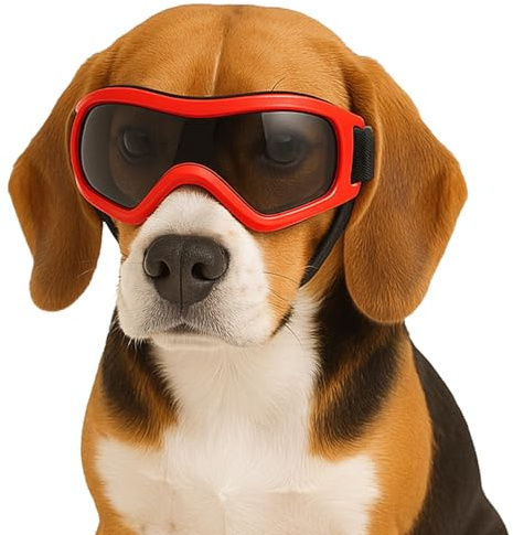 Fohuanky Lunettes de soleil réglables avec protection UV pour chien de petite et moyenne race, pour voyage, randonnée, plaisir en plein air (rouge, taille M)