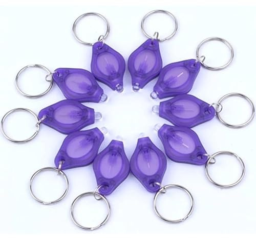 MODOAO Lot de 10 mini porte-clés lampe de poche UV pour chien avec détecteur d'urine UV Lampe torche clé(lot de 10)