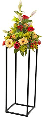 RAABYU PflanzenständerBlumenständer aus Metall, Pflanzenständer schwarz, moderner Blumentopfständer, Pflanzenregal für den Innenbereich, Blumentopfständer, Blumentopfhalter f