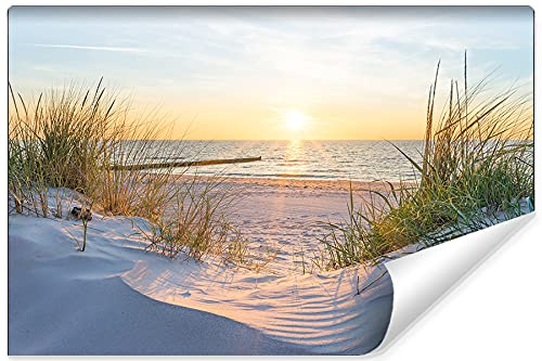 Muralo Vinyl Glatte Fototapete Strand Tapete Wandtapete Dünen Meer Sonne Himmel Wohnzimmer Schlafzimmer Moderne Wandbilder XXL Natur Panorama Wasser Wand Dekoration Br. 300 cm x Hö. 210 cm
