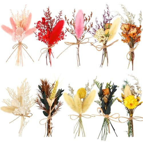 JULBEAR Mini Trockenblumen, 10 Bündel Trockenblumenstrauß Klein Mini Getrocknete Blumenstrauß DIY Trockenblumen für Kunst Handwerk Tägliche Heimdekoration Hochzeitsdekoration