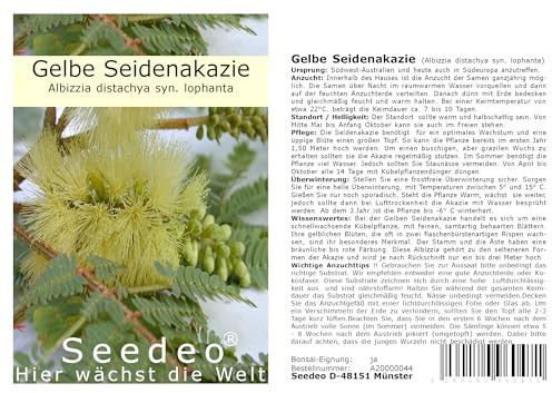 Seedeo Gelbe Seidenakazie (Albizzia lophanta) 40 Samen
