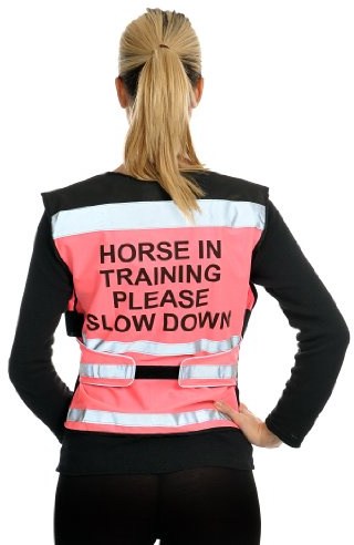 Equisafety Hitpsd Gilet réglable Rose High Viz Pink/Black Moyen