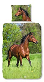 Good Morning - Laufende Pferde - 100% Baumwolle - 135x200 cm + 1 Kissenbezug 80x80 cm - Mehrfarbig