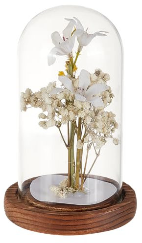 GOMAKERER 1 Stück Glasglocke, 11.2x13.2cm Dekorative Glashaube als Tischdeko Terrarium mit Korkboden Dekorative Displaykuppel für Pflanzen, Blumen, Weihnachtsdekoration