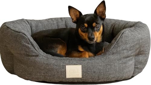 R PETS Cosy Cloud Anti-Anxiety Calming Soft Pet Bed Smooth Textured Hypoallergenic Washable Easy Clean Medium Dog Bed Non-Slip Base Joint Support Anxiety Relief Cat Bed 61cm x 61cm x 18cm