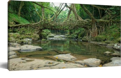 JOPZEMTYED Wall Art Frame Gallery Wall Decor Living Root Bridge handmade from the aerial roots rubber fig trees Modern Canvas Prints Artwork for Living Room Bedroom Office Kitchen 20x40Inch