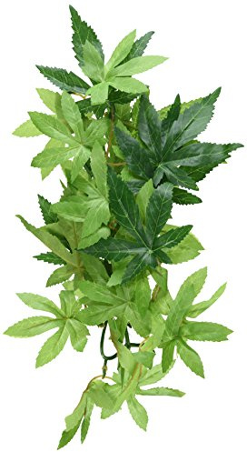 Exo Terra Abutilon, hängende Regenwaldpflanze aus Seide, klein, Länge 32cm