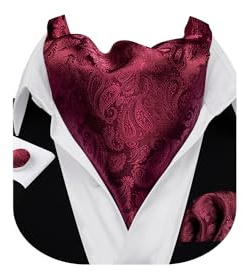Barry.Wang Men Paisley Cravats Self Tie Set Solid color Silk Ascot Tie & Pocket Square Cufflink Set Party Classic Floral Wedding Business