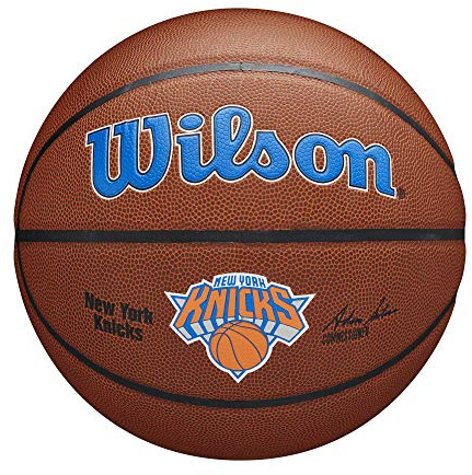 Wilson NBA Team Autogramm Mini Basketball