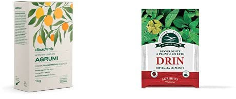 Il Paese Verde Concime Per Agrumi 1kg - Concime Granulare Per Limoni, Arance, Mandarini, Pompelmi e Cedri + Drin 10g Ferro Chelato Per Piante Contro Ingiallimenti Dovuti Alla Clorosi Ferrica