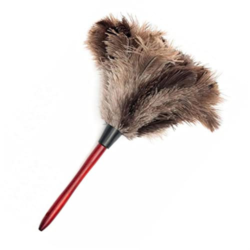 produits de nettoyage, Ensemble plumeau nouveaux antistatiques doux plumeaux plumes d'autruche naturelles fourrure manche en bois brosse plumeaux outils de nettoyage de la poussière domestique accesso