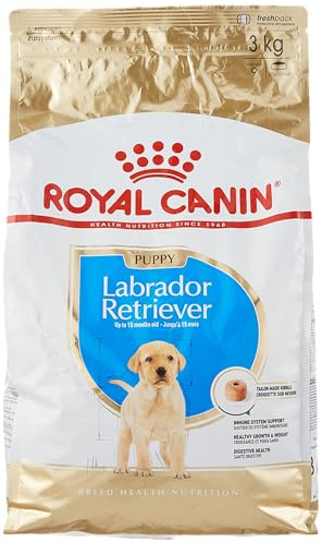 Royal Canin Labrador Junior Labrador-Futter für junge Labradore.