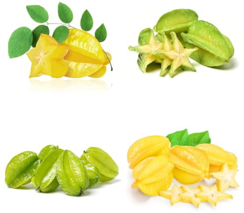 semi di carambola, rari esotiche da giardino roccioso nani fresca colonnari di vecchie varietà regali 85pcs