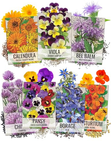 Seed Needs Edible Wildflower Seed Packet Collection (7 Varieties of Flower Seed for Planting) Non-GMO Heirloom & Untreated - Includes Viola, Pansies, Chives, Borage, Calendula, Nasturtium & Bee Balm