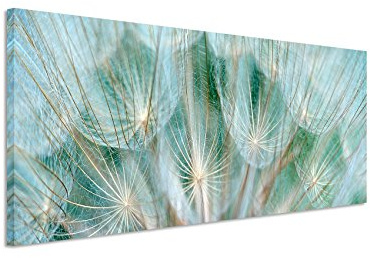 Paul Sinus Art Panoramabild 150x50cm Naturfotografie – Pusteblumen im Detail auf Leinwand exklusives Wandbild moderne Fotografie für ihre Wand in vielen Größen