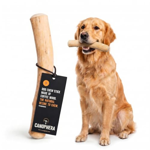 Canophera Original Kaffeeholz Hundekaustab | Natürliches und splitterarmes Hundespielzeug zur Zahnpflege | Nachhaltig, Pflanzlich & Koffeinfrei | Kauholz für Hunde in verschiedenen Größen (S)