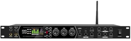 GAX-F35 Professioneller KTV 99 Arten Von DSP-Effekten for Heim-Karaoke-Bühnenauftritte, K-Song-Anti-Heul-Effektor-Audioprozessor