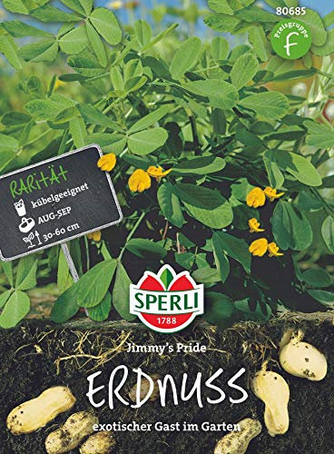 Sperli Gemüsesamen Erdnuss Jimmy's Pride, grün