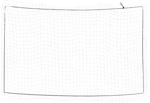 vidaXL Anhängernetz, Hängernetz mit Gummiseil, Abdecknetz für Anhänger, Transportnetz Ladungssicherungsnetz Gepäcknetz, Weiß 3,5x2m PP