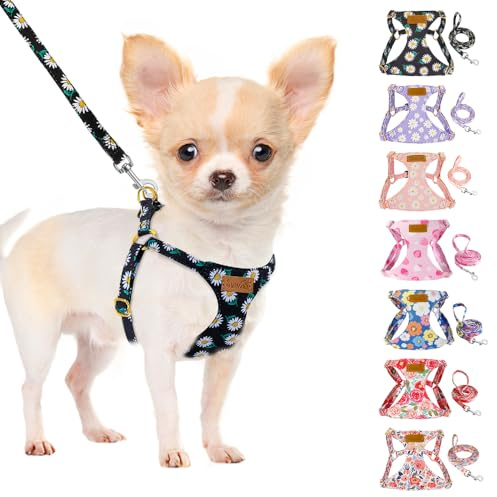 SlowTon Puppy Harness and Leash Sets, Adjustable Lightweight, No Pull | Escape Proof Vest Harness, Adjustable Lightweight Harness, Outdoor Walking Running Training Small and Medium Sized Dog