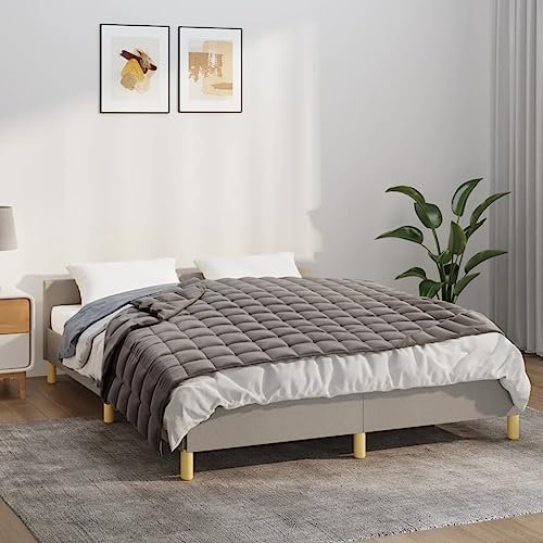 Camerina Gewichtsdecke Grau 138x200 cm 6 kg Stoff Therapiedecke Erwachsene Weighted Blanket