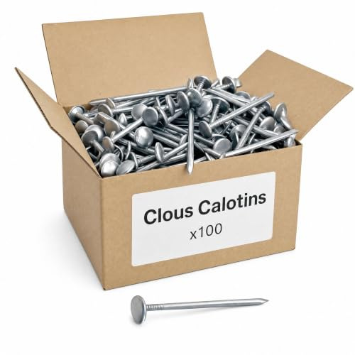 100 Clous Calotins - diamètre 2.7 mm X 40 mm