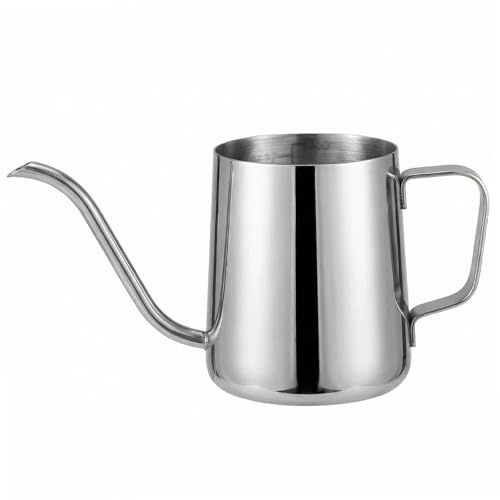 Mini Annaffiatoio per Piante da Interno Annaffiatoio Piccolo in Acciaio Inossidabile da 350 ml con Beccuccio Lungo e Manico Comodo Innaffiatoio per Piante da Appartamento per Versamento Preciso (Arge