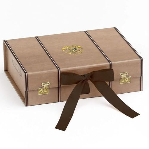 Harry Potter - Caja de regalo para maletero, talla S