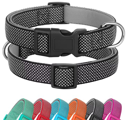 Didog Reflektierendes Hundehalsband mit Schnalle, verstellbares weiches neoprengepolstertes Nylon-Haustierhalsband für kleine, mittelgroße und große Hunde, Schwarz, S
