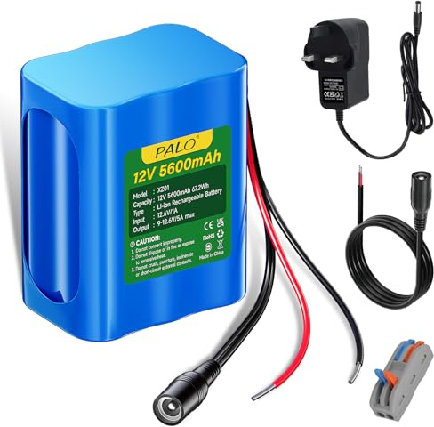 Mspalocell 12V 5600mAh Lithium Ion Battery with Charger & Connection Lines for Radio, Cameras, Camcorders, Electronic Organ, Diy Reading Lamp, Telescopes, Sonar, Signal Tool