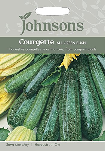 Johnsons Seeds Courgette All Green Bush Seed