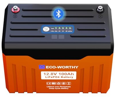 ECO-WORTHY 12V 100Ah LiFePO4 Battery with LED Indicator,Bluetooth,Low-Temp