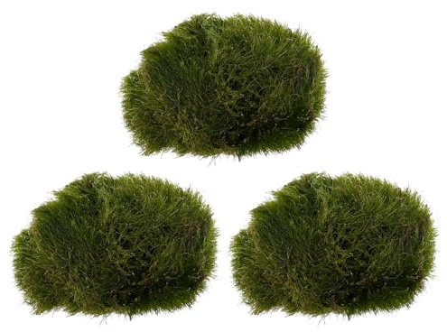 ibasenice Marimo Moss Ball - Aquarium Ball Set,Green Decortive Algae Water Purification Ball Living Plant Aquatic Plant for Aquarium Fish Tank Glass Jar Terrarium Kits(3Pcs)