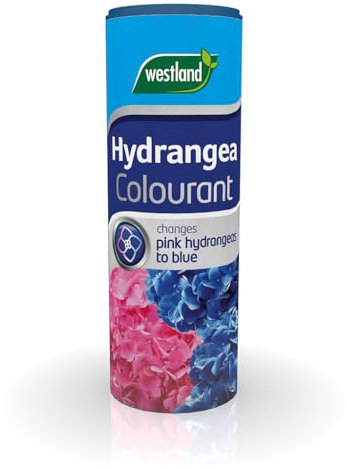 Westland Hydrangea Colourant 500g – Soil Acidifier to Turn Pink Hydrangeas Blue – Easy-to-Use Fertiliser Salt for Vibrant Garden Blooms