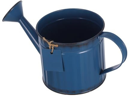 Toyvian Arrosoir D'Extérieur en Fer Arrosoir en Métal Arrosoir D'Extérieur Décor Vintage Bleu