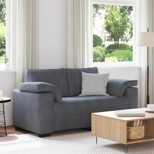 QJBSAVVA Zweisitzer Sofa Dunkelgrau 160 cm Samtstoff Relaxsofa mit Sperrholz Armlehnen Bequem und Modern für Wohnzimmer Schlafzimmer oder Arbeitszimmer