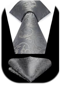 HISDERN Krawatten für Herren Hochzeit Krawatte mit Einstecktuch Paisley Formelle Klassische Herrenkrawatte und Taschentuch Set für Männer