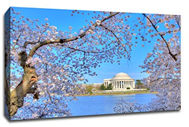 Tidal Basin - Washington DC - Capturing America - 24x16 Gallery Wrapped Canvas Wall Art