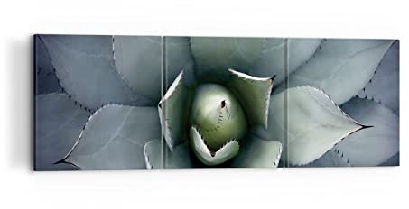 Mehrteilige Bilder auf Leinwand 120x40cm Leinwandbild Blau Blätter Agave Groß Wanddeko Bild Schlafzimmer Set 3 teilige Wandbilder Dekoration Wohnzimmer Decor Canvas Wand Kunstdruck Art CA120x40-5133