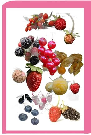 Grow Your Own Berries Seed Kit | 20+ Varieties | Blueberry, Raspberry, BlackBerry & More | Diverse Colors | Non-GMO, Heirloom