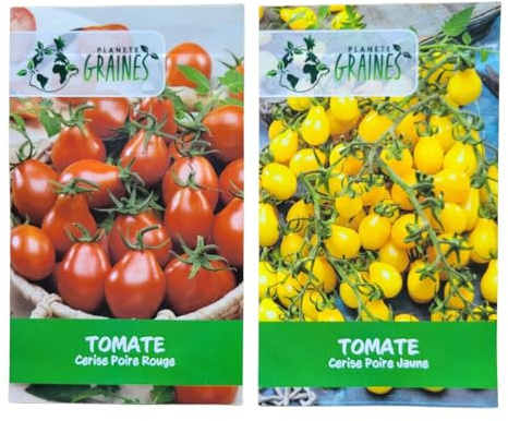 lot spécial graines de tomate poire rouge et jaune - duo de variétés anciennes red fig et yellow pear - semences potagères productives- tomates cerises