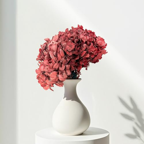 Lykke & You konservierte Hortensie | Trockenblumen für Wohnzimmer, Büro, Tischdeko, Hochzeit, Frühlingskranz & Einzugsgeschenk – Hortensien getrocknete Blumen Deko – natürlich, elegant & nachhaltig