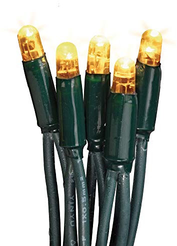 hellum LED Lichterkette Außen, verlängerbar Lichterkette mit Steckdose, Verlängerungs-Set ohne Netzkabel, 7,9m 80 LEDs warm-weiß, Kabel grün Weihnachtsbeleuchtung für Garten, Party 555042