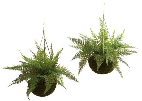Nearly Natural Leather Fern with Mossy Hanging Basket (Indoor/Outdoor) (Set of 2)