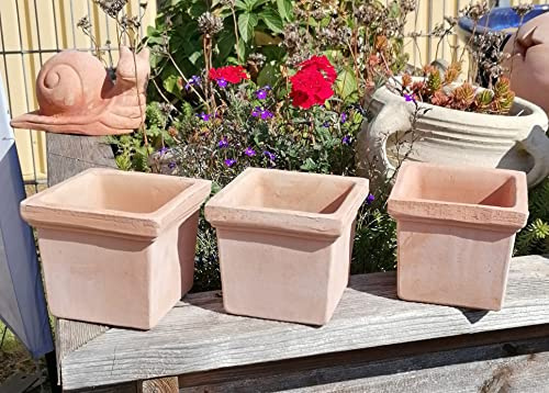 NEU !! 3 er Set kleine Blumentöpfe 10 cm hoch echt Terracotta Terrakotta Mediterran Garten Deko Blumenkübel Pflanztopf Blumentopf